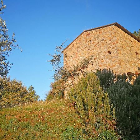 בונאסולה Cottage La Torre Del Pittore מראה חיצוני תמונה