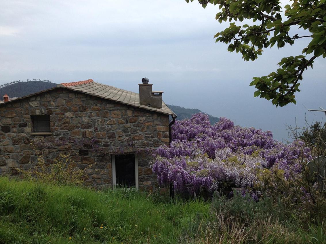 בונאסולה Cottage La Torre Del Pittore מראה חיצוני תמונה