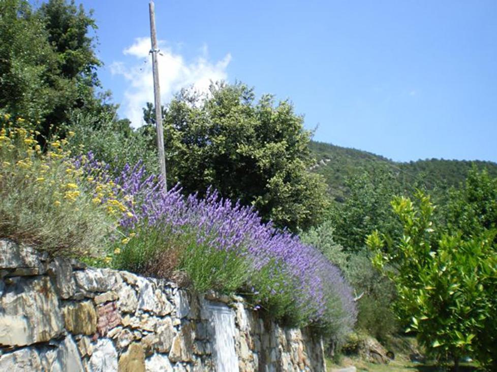 בונאסולה Cottage La Torre Del Pittore מראה חיצוני תמונה