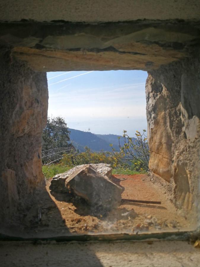 בונאסולה Cottage La Torre Del Pittore מראה חיצוני תמונה