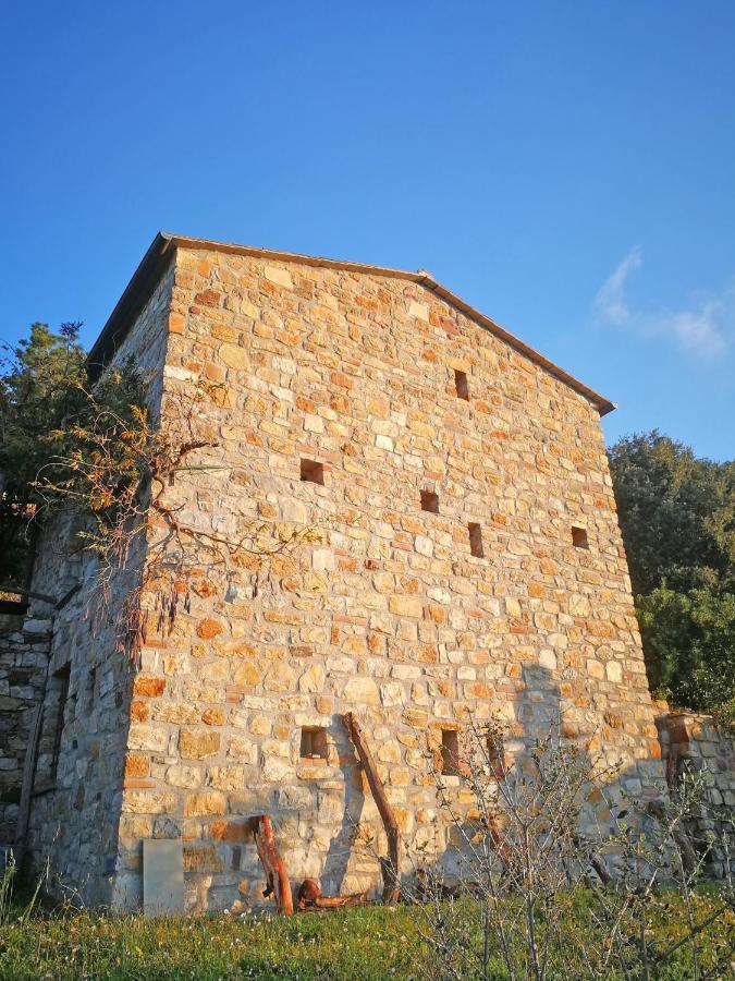 בונאסולה Cottage La Torre Del Pittore מראה חיצוני תמונה