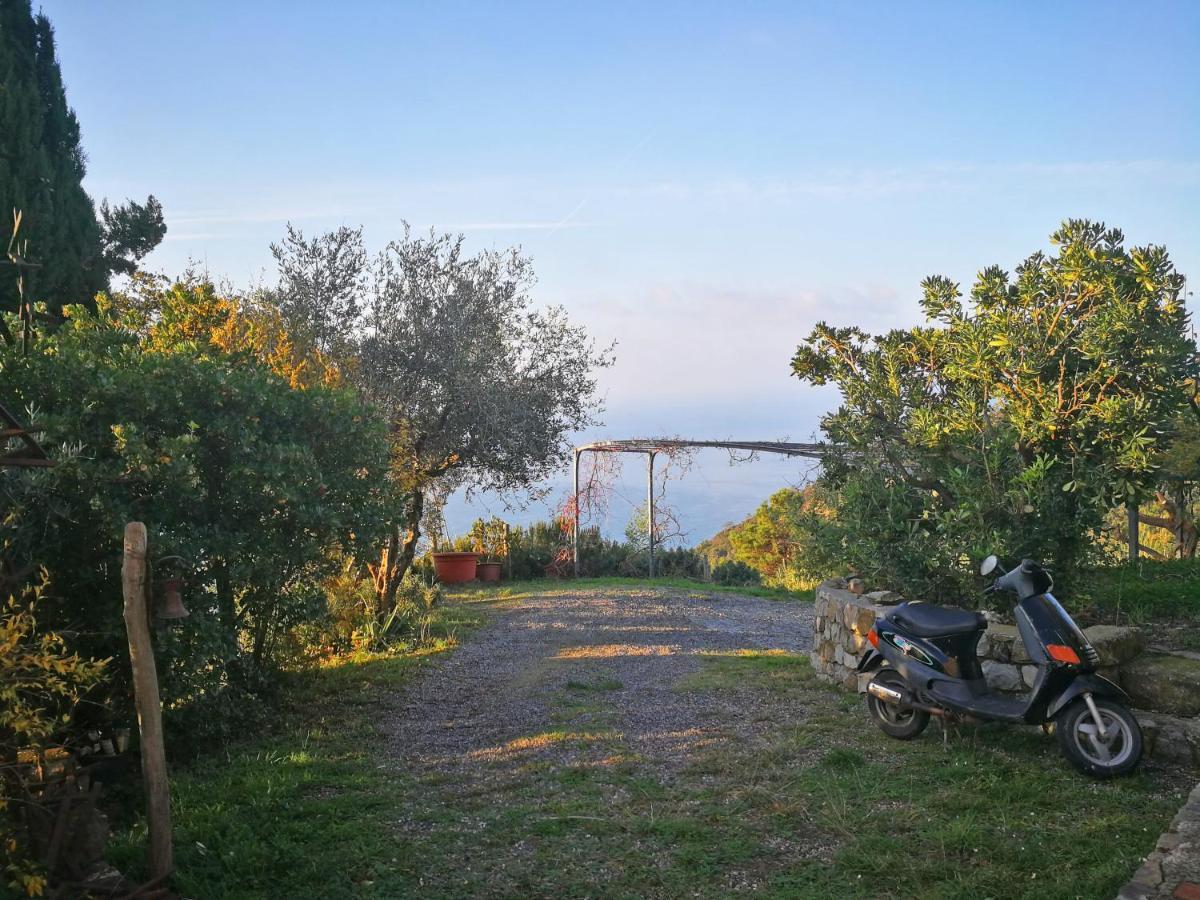 בונאסולה Cottage La Torre Del Pittore מראה חיצוני תמונה